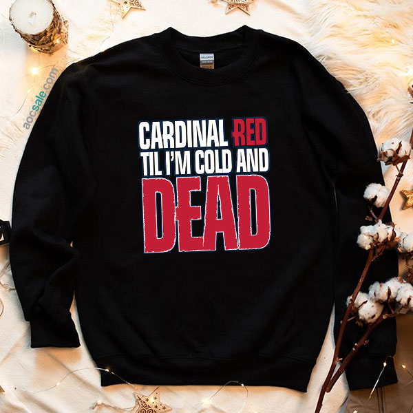 Cardinal Red Baseball Sweatshirt